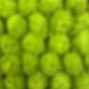 Meet your Posher, Steve